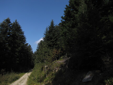 20080926 132650
